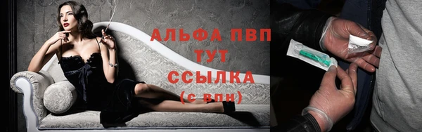 твердый Алексин