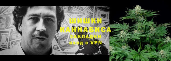 ГАЛЛЮЦИНОГЕННЫЕ ГРИБЫ Алзамай